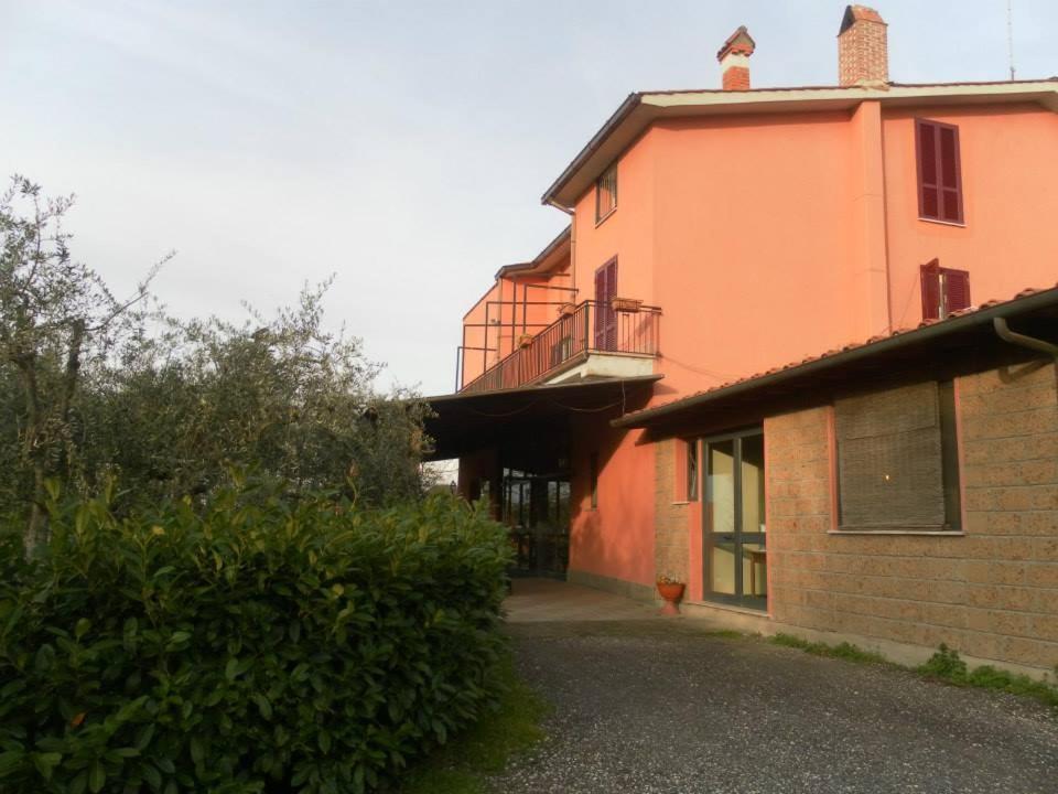 Il Contado B&B Castel Sant'Elia Luaran gambar