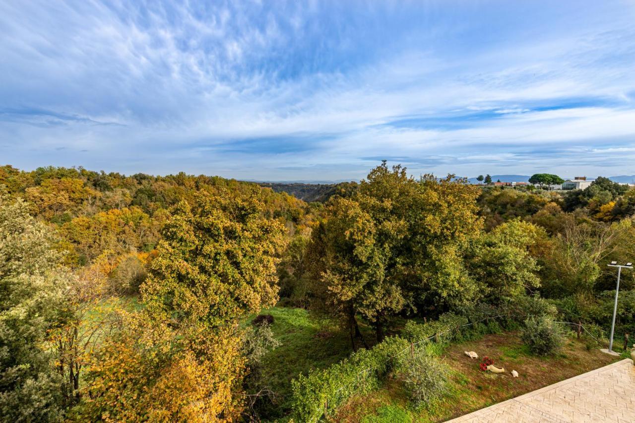 Il Contado B&B Castel Sant'Elia Luaran gambar